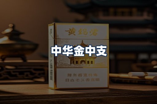 中华金中支